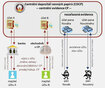 Centrální depozitář cenných papírů (CDCP) - centrální evidence CP