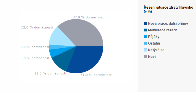 Graf - Řešení situace ztráty hlavního příjmu domácnosti